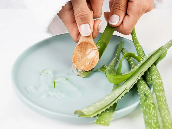 100-aloe-vera-gel-lany-aloe-veraval-noveny Ennek az aloe gélnek minden háztartásban ott a helye! Szépség 