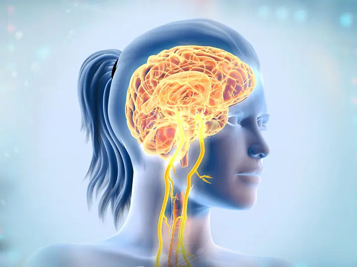 10tudomany-belbakterium-belflora-prebiotikum-probiotikum-egeszseg_1 Együnk baktériumokat! Emésztés 