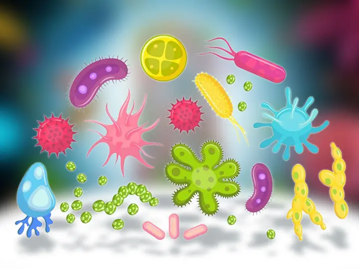 11mikrobiom-erdekesseg-belbakterium-belflora-pre-probiotikum-egeszseg_1 Együnk baktériumokat! Emésztés 