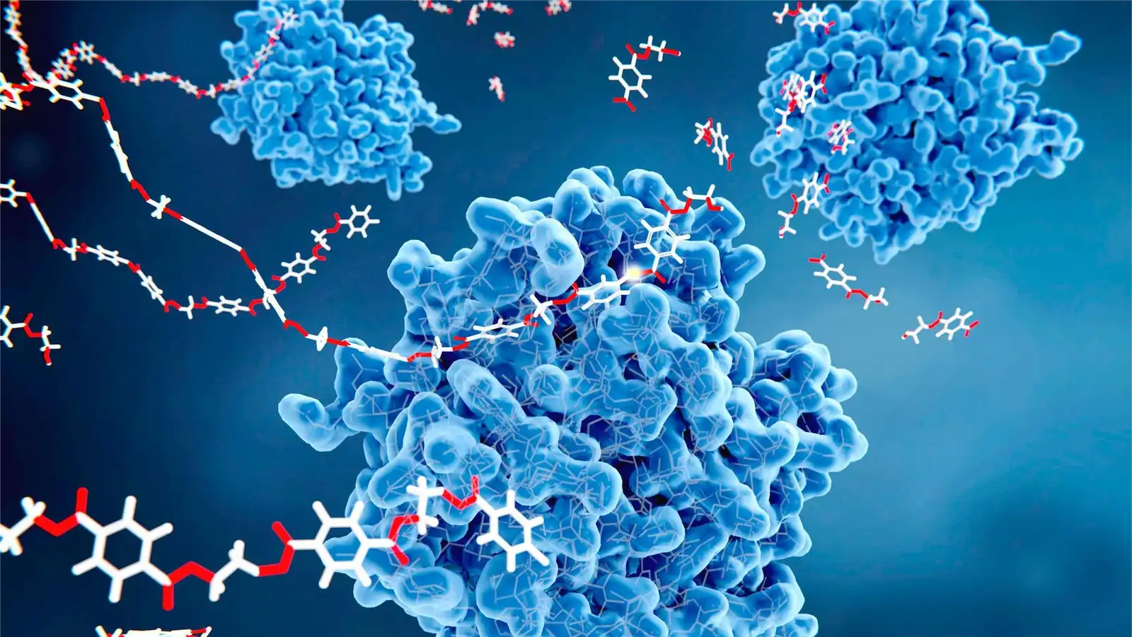 2-natur-tanya-emesztoenzim-komplex-hiany-tunetei-potlas-legj2 Fiatalító enzimterápia - a szisztémás enzimek Emésztés 