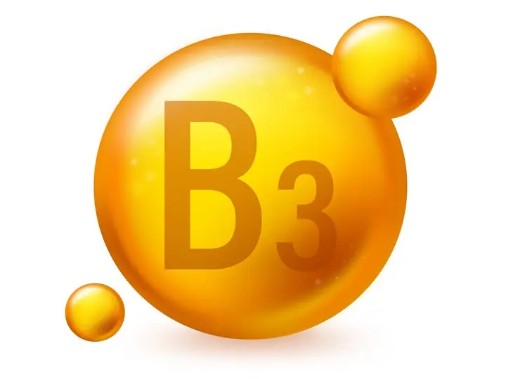 2572 A B-komplex vitaminok: idegrendszer Idegrendszer 