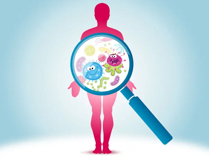 2belbakterium-pre-probiotikum-belflora-mikrobiom-szepseg-egeszseg Együnk baktériumokat! Emésztés 