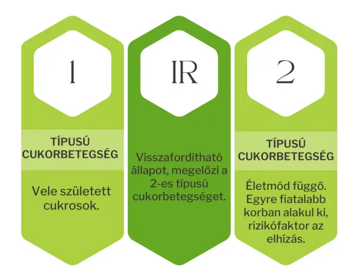 2cukorbetegseg-leggyakoribb-tipusai-inzulinrezisztencia A cukorbetegség kezelése természetes módon Hormontámogatás 