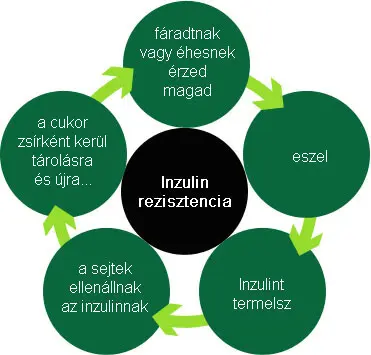 3inzulinrezisztencia-cukorbetegseg-eloszobaja-folyamat A cukorbetegség kezelése természetes módon Hormontámogatás 