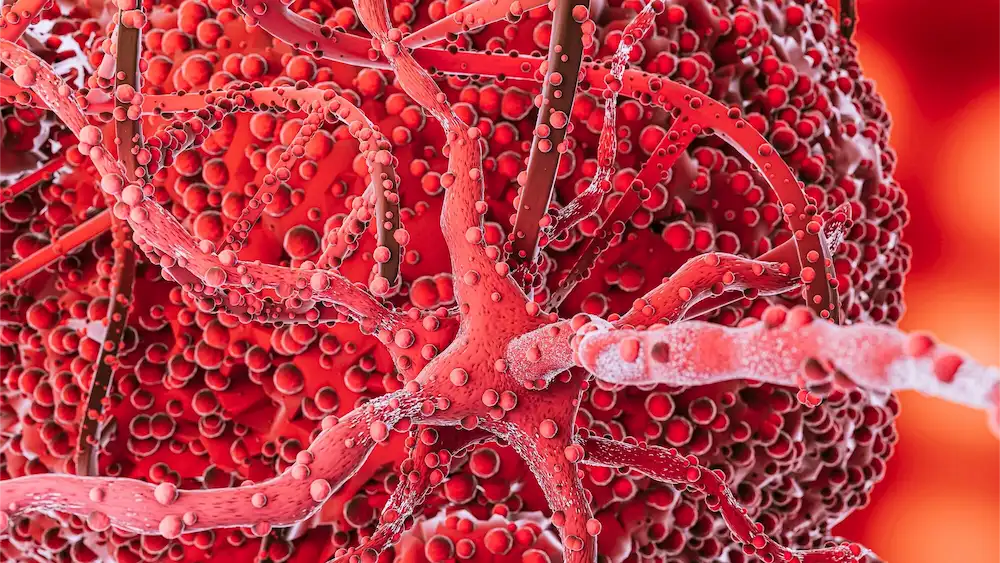 4-natur-tanya-emesztoenzim-komplex-hiany-tunetei-potlas-fibr2 Fiatalító enzimterápia - a szisztémás enzimek Emésztés 