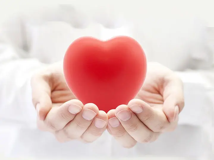 5-kendermagolaj-sziv-errendszer-koleszterin-omega-3-6-tenyerben-sziv 8 ÉRV a kendermagolaj mellett Szépség 