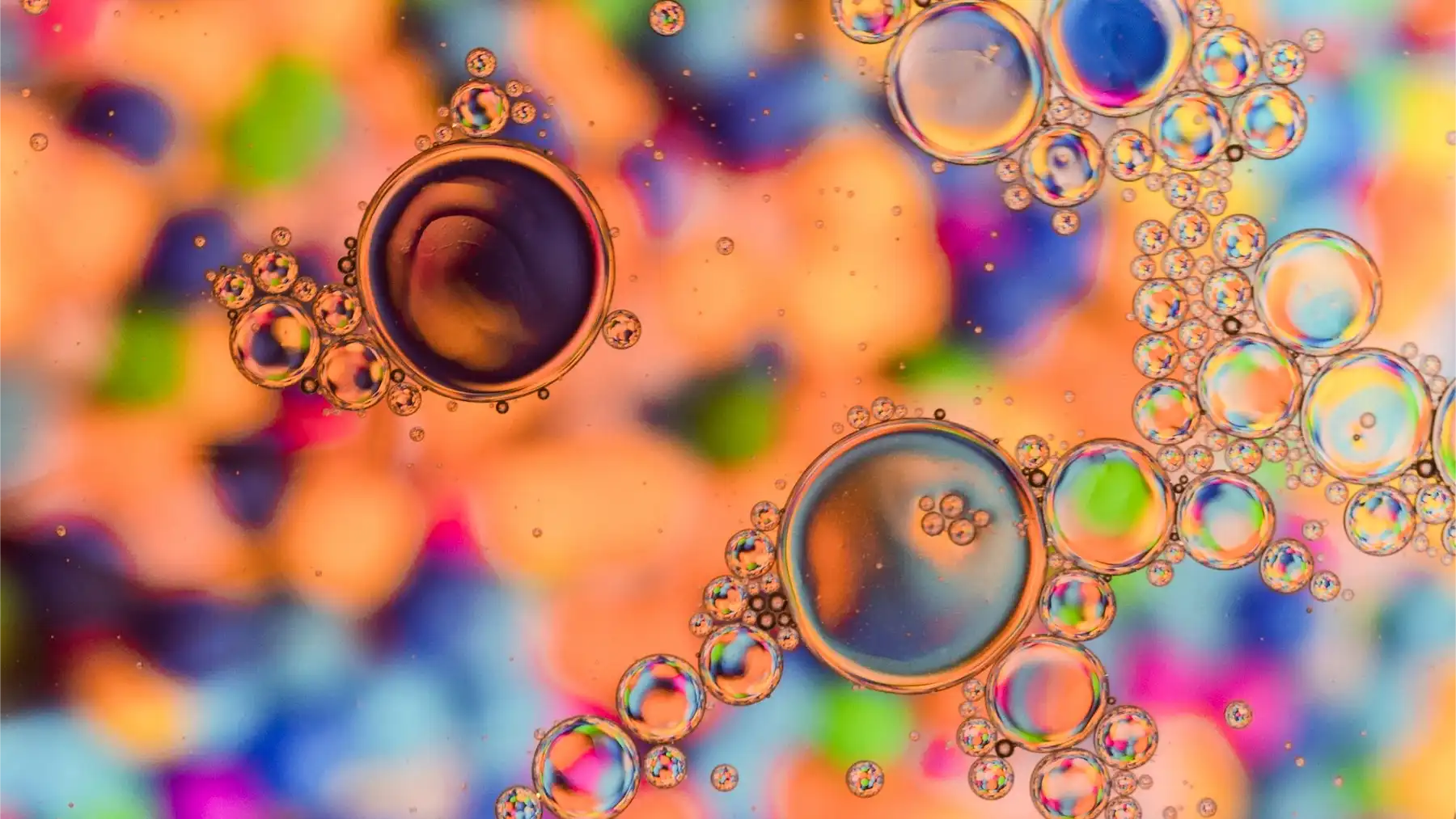 5-natur-tanya-emesztoenzim-komplex-hiany-tunetei-potlas-prot2 Fiatalító enzimterápia - a szisztémás enzimek Emésztés 