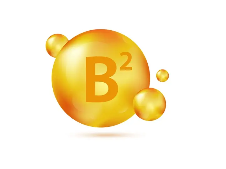 554 A B-komplex vitaminok: idegrendszer Idegrendszer 