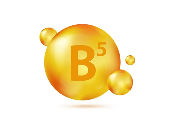 555 A B-komplex vitaminok: idegrendszer Idegrendszer 