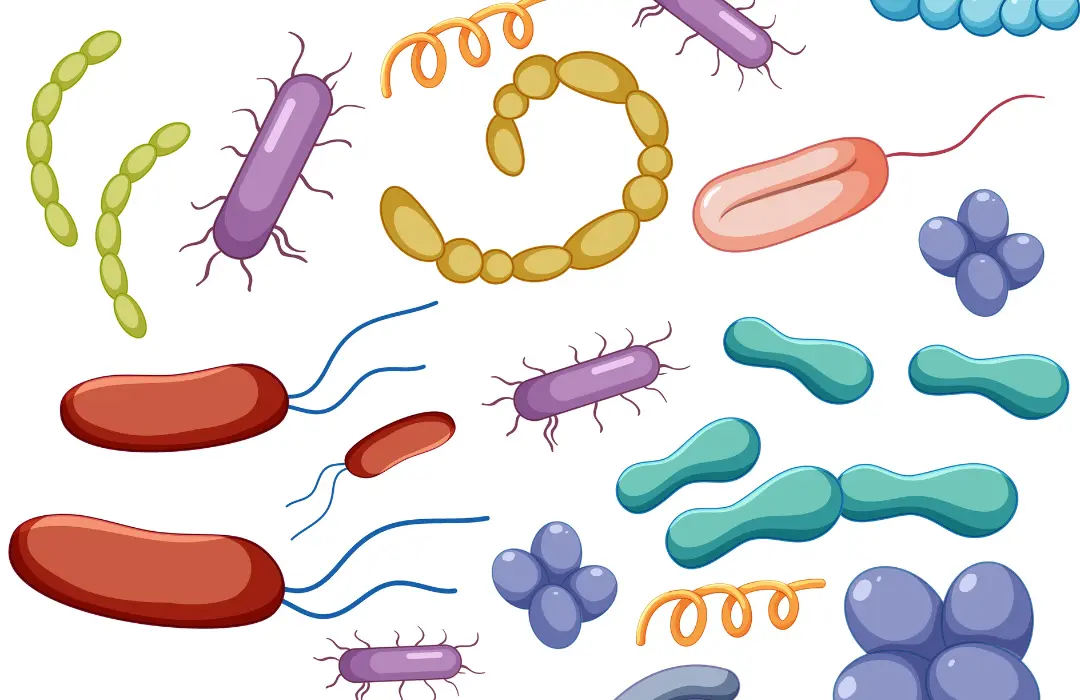 6-_KerC3BCld20a20felesleges20mestersC3A9ges20szC3ADnezC3A9keket20C3ADzesC3ADtC591ket Melyik a legjobb probiotikum? Emésztés 