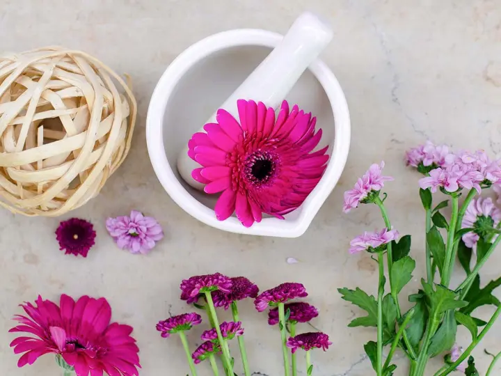 6-ok-amiert-fogyassz-echinaceat_1 6 ok, amiért szeretjük az Echinaceát Immunrendszer 