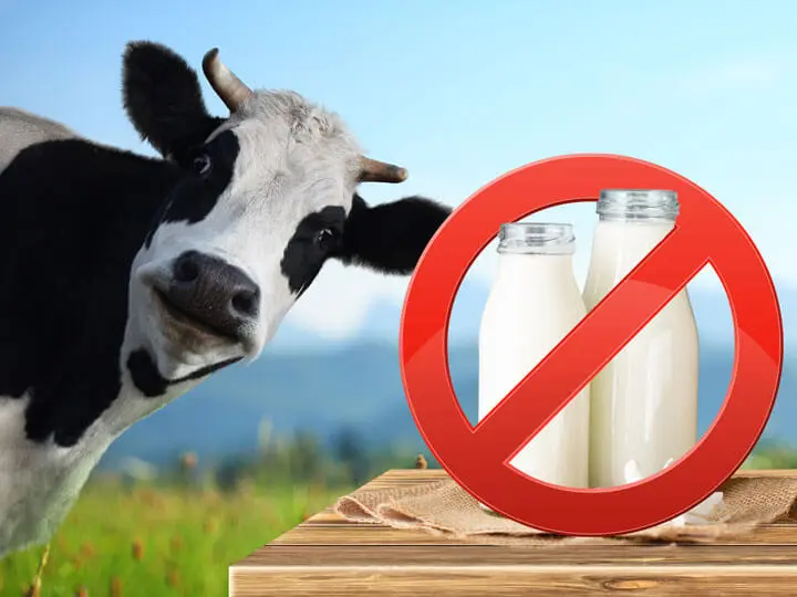 7-tipp-amit-a-lapos-hasert-tehetsz-blog-kep-2-tej-720x540px 7 tipp, amit a lapos hasért tehetsz! Testsúlycsökkentés 