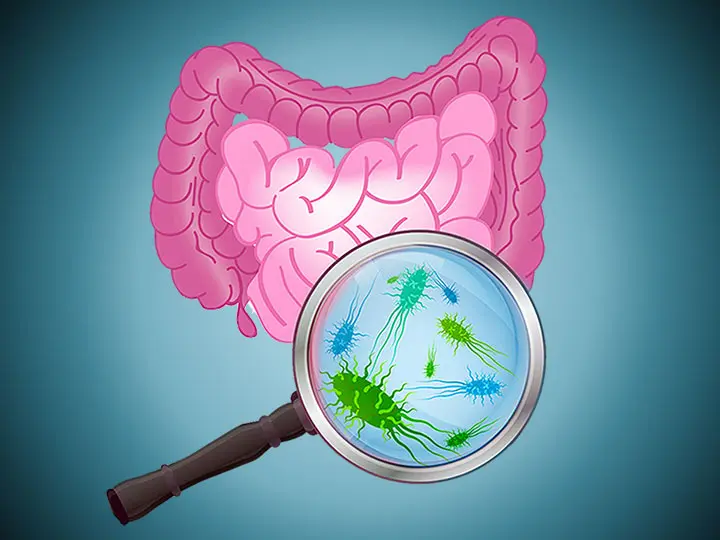8patogen-belflora-bakterium-prebiotikum-probiotikum-szepseg-egeszseg_1 Együnk baktériumokat! Emésztés 