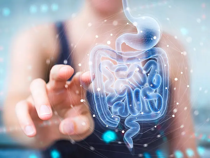 9belbakterium-belflora-mikrobiom-pre-probiotikum-szepseg-egeszseg_1 Együnk baktériumokat! Emésztés 