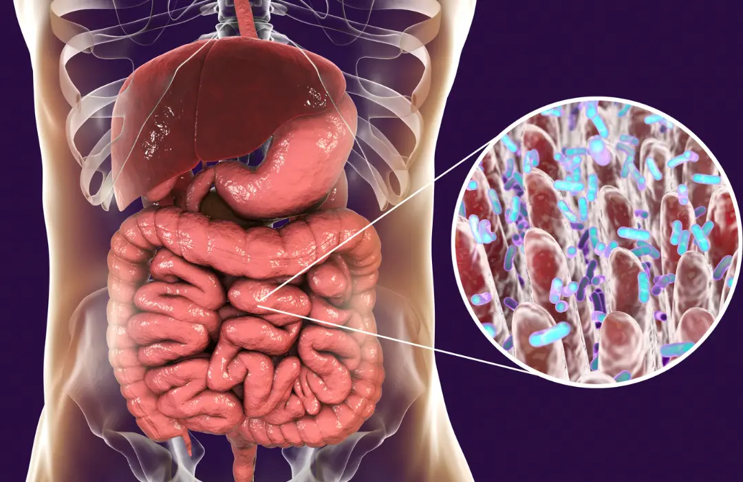 A20bC3A9lrendszer20tC3B6bbet20befolyC3A1sol20mint20gondolnC3A1d201 7 hatás, amiért megéri probiotikumot szedni Emésztés 