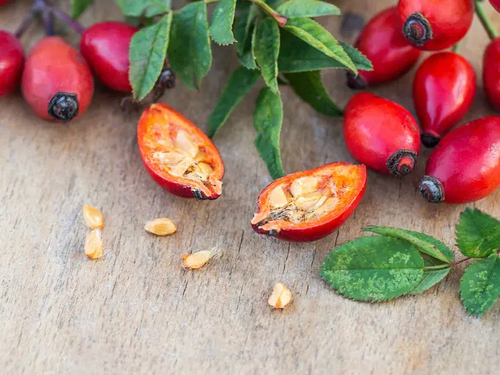 Csipkebogyomag-liszt-csipke 5 érv a Csipkebogyómag-liszt mellett Immunrendszer 