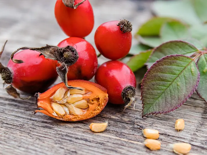 Csipkebogyomag-liszt-cvitamin 5 érv a Csipkebogyómag-liszt mellett Immunrendszer 