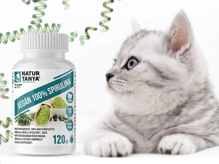 Spirulina-hC3A1zikedvenceknek-blog-kC3A9p-720x540px-3 Kis kedvenceink szuper immunerősítője Immunrendszer 