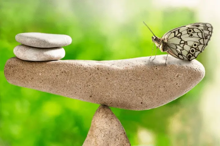 adaptogenek-egyensulyozo-hatas Azok a csodálatos adaptogének! Hormontámogatás 