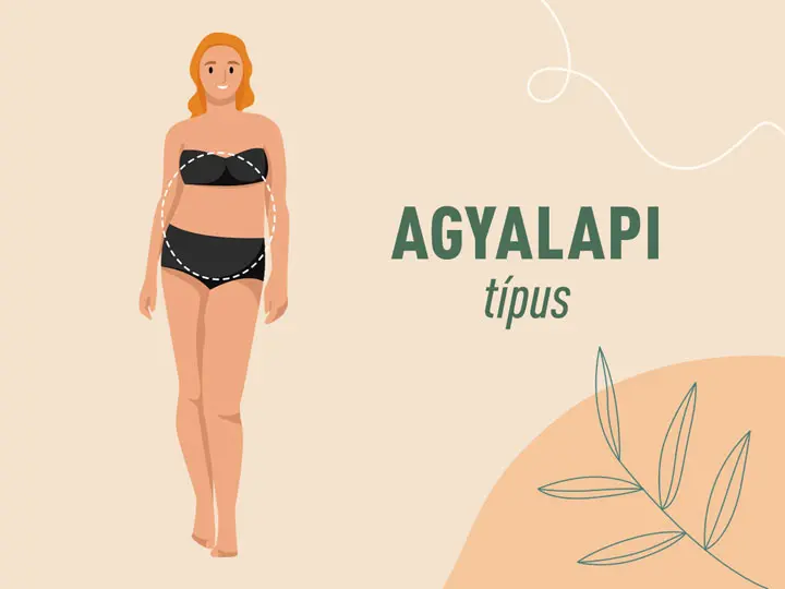 agyalapi-hormontipus-fogyas Te melyik hormontípusba tartozol? Ezt kell tenned, ha fogyni szeretnél! Testsúlycsökkentés 