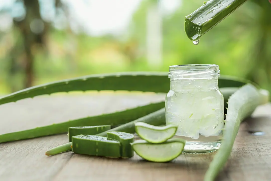 aloe 9 ok, ezért ápold Aloe Vera géllel a bőrödet! Szépség 