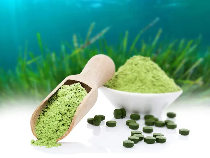 antioxidans-energia-vegan-spirulina-alga 9 dolog, amire jó az adalékanyag mentes spirulina Szupertápanyagok 