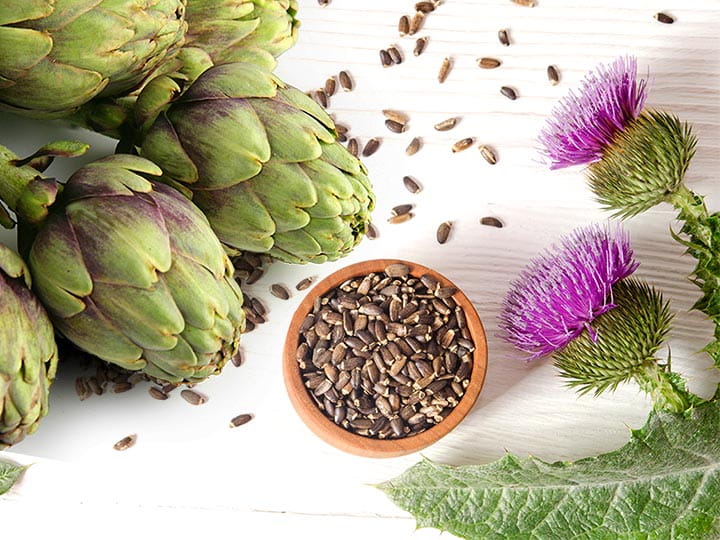 articsoka-mariatovis-majvedo-majmeregtelenites-gyogynoveny Melyik a jobb májvédő - Articsóka vs. Máriatövis? Emésztés 