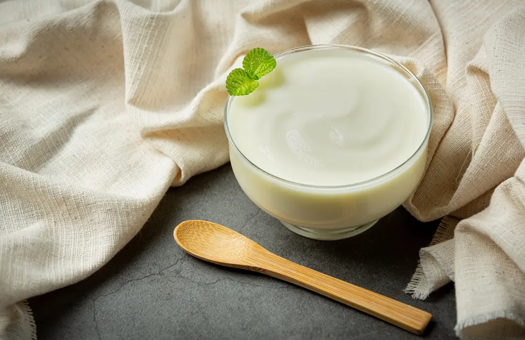 avocado-avocado-yogurt-products-made-from-avocado-food-nutrition-concept A fermentálás 5 előnye és módjai Emésztés 