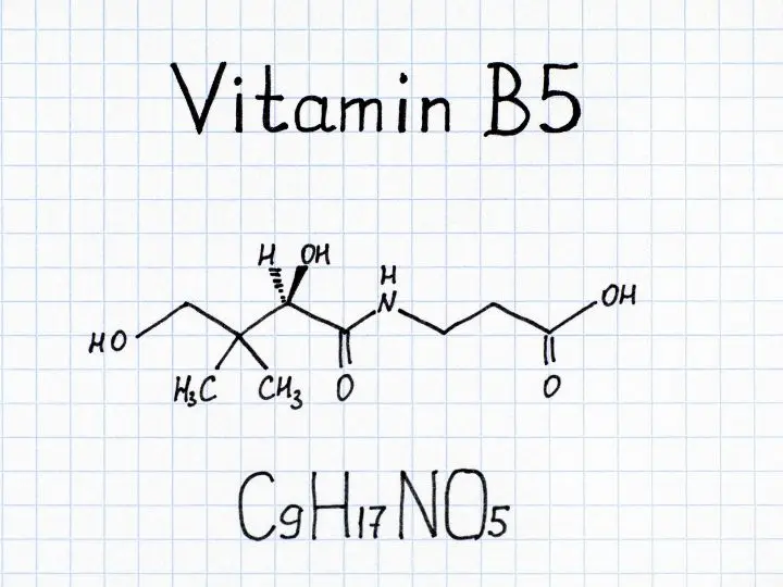 b5-vitamin Mire jók a B-vitaminok és mik a legjobb formái? Szupertápanyagok 