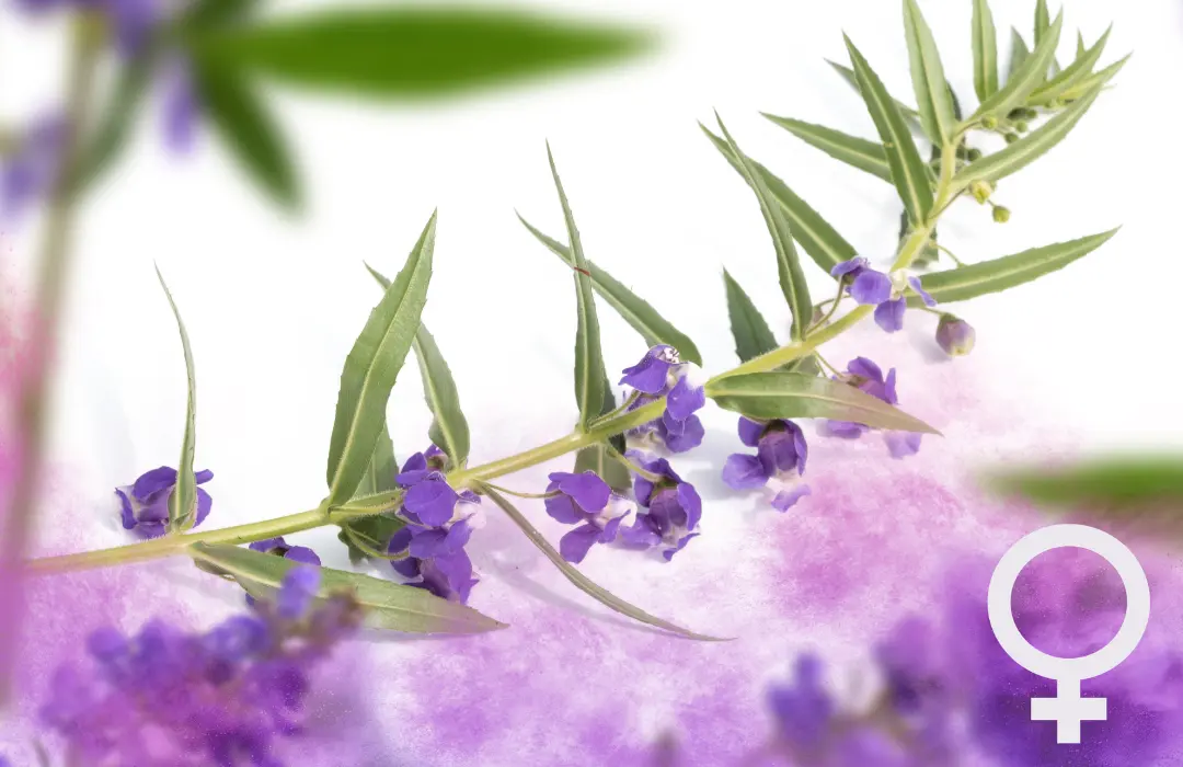 baratcserje_pmsre PMS túlélőtippek: hibák, amiket kerülj el Hormontámogatás 