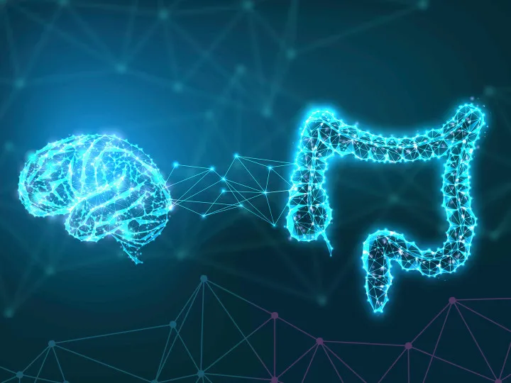 bel-agy-tengely Munkahelyi teljesítmény és pszichobiotikumok: Új kutatások a bélflóra szerepéről Mentális egészség 