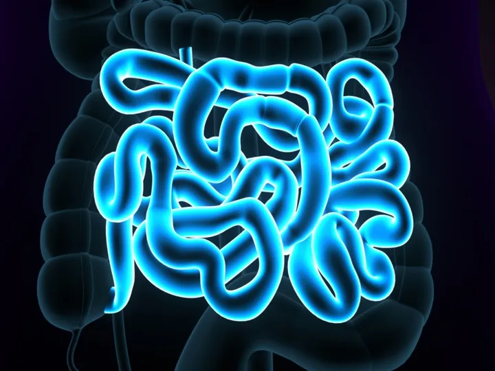 belflora-aloe-vera Aloe Vera télen: Jótékony hatások a hideg hónapokban! Szupertápanyagok 