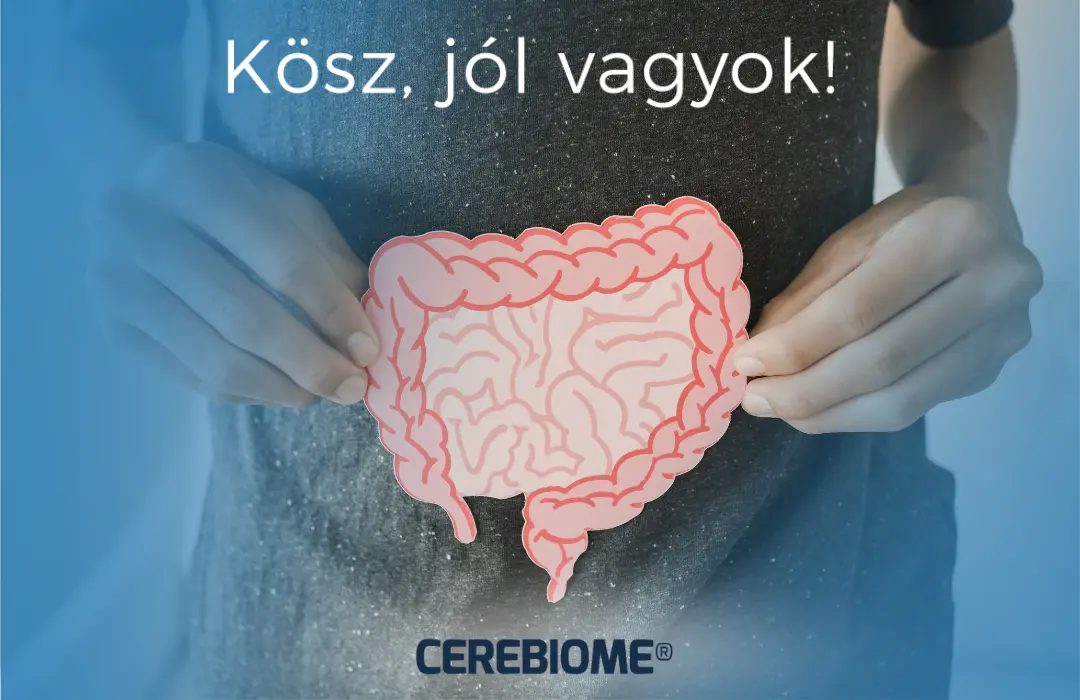 belmikrobiom-es-hangulat A bélmikrobiom szerepe a hangulat szabályozásában Mentális egészség 