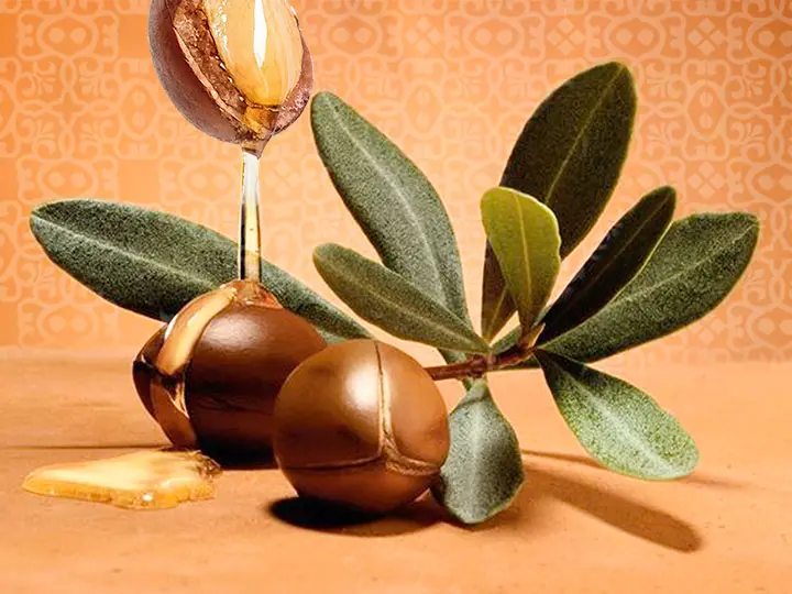 bio-argan-oaj-arcra-es-testre 7 ok az argán olaj mellett Szépség 