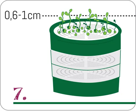 bio-termeszetes-vegyszermentes-magok-csiraztatas-puffadas-vitaminok Otthoni csíráztatás fortélyai 8 lépésben Szupertápanyagok 