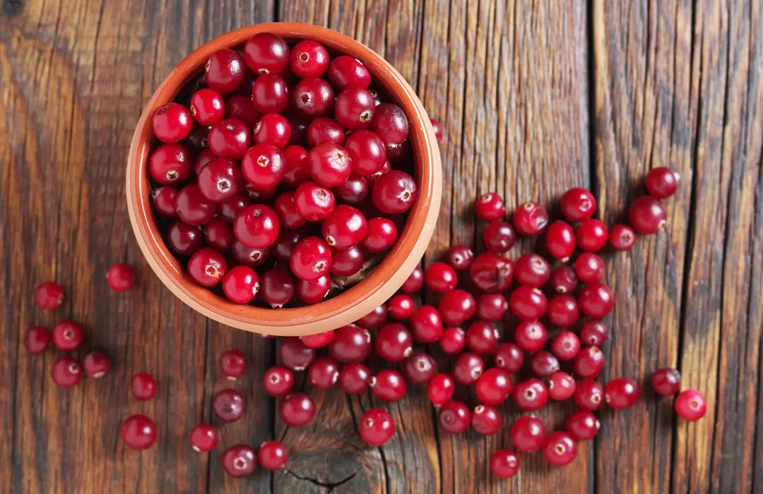bowl-cowberries Tőzegáfonya: Mi mindenre jó? Immunrendszer 