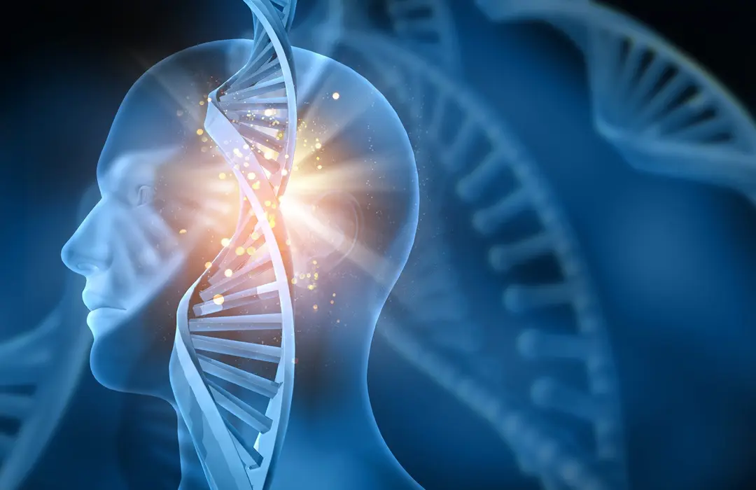 bright-dna-with-human-figure ADHD tünetei és kezelése Mentális egészség 