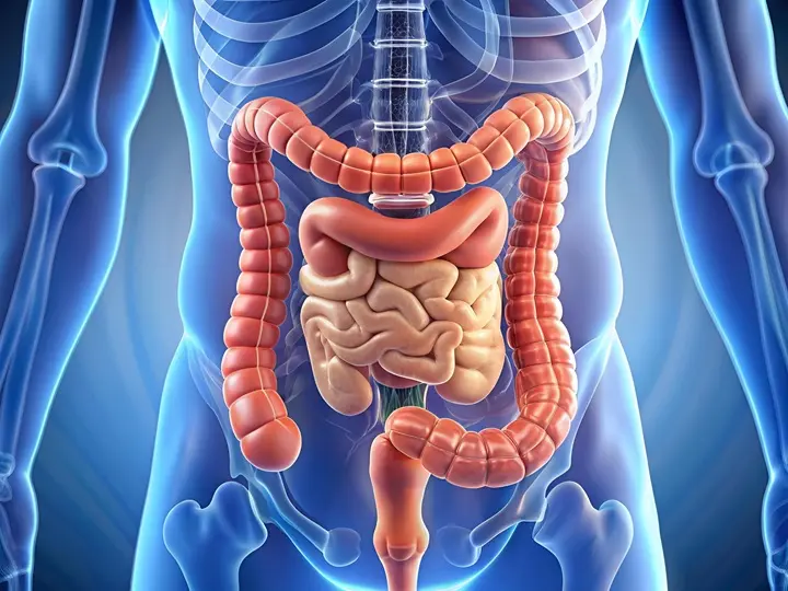 cerebiome-elonyei A 6 legfontosabb szempont a pszichobiotikum kiválasztásához Mentális egészség 