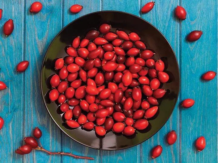 csipkebogyomagolaj-hidegensajtolt-kulsoleg-belsoleg-borszepito A csipkebogyómag olaj 10 legértékesebb hatása Szépség 