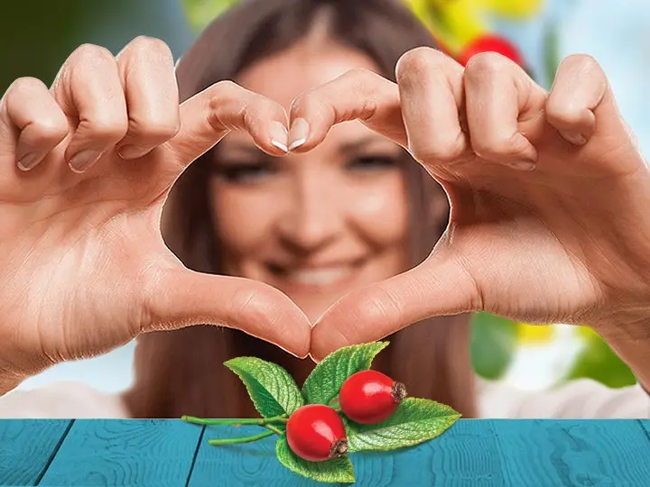 csipkebogyomagolaj-hidegensajtolt-kulsoleg-belsoleg-sziv A csipkebogyómag olaj 10 legértékesebb hatása Szépség 