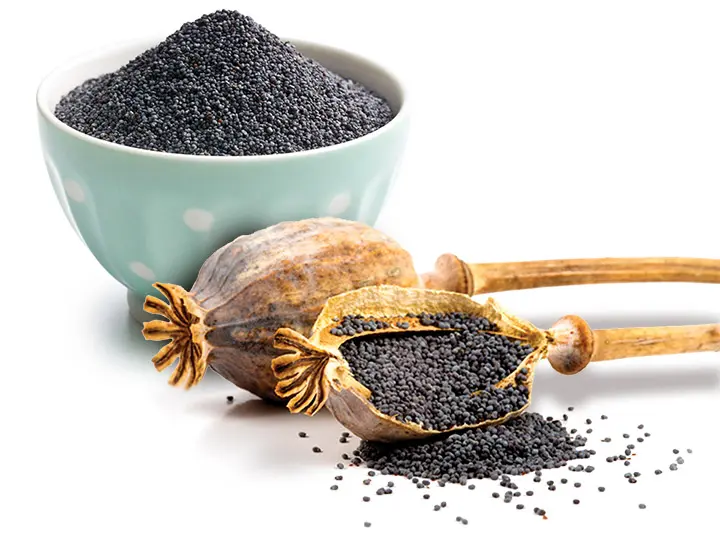 csontritkulas-asvanyi-anyagok-makliszt-orlemeny-makgubo Kanalazz mákőrleményt az egészségedért! Immunrendszer 