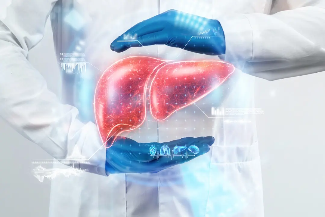doctor-looks-liver-hologram-checks-test-result-virtual-interface-analyzes-data-liver-disease-donation-innovative-technologies-medicine-future Zsírmáj: Előzd meg és szabadulj meg tőle!! Méregtelenítés 