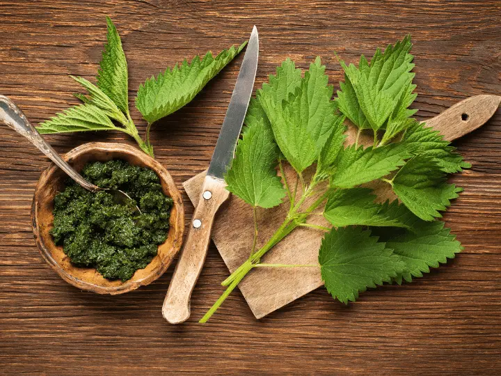 energizalo-gyogynovenyek-faradtsag-ellen-csalan Ints búcsút a fáradtságnak energizáló gyógynövényekkel! Immunrendszer 