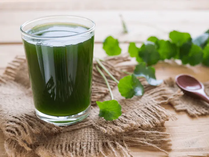 energizalo-gyogynovenyek-faradtsag-ellen-gotu-kola Ints búcsút a fáradtságnak energizáló gyógynövényekkel! Immunrendszer 