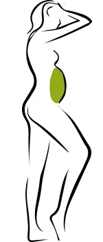 etvagycsokkento-termeszetes-zsiregeto-dieta-anyagcsere-serkento Tükörteszt: ettől függ, hova hízunk? Testsúlycsökkentés 