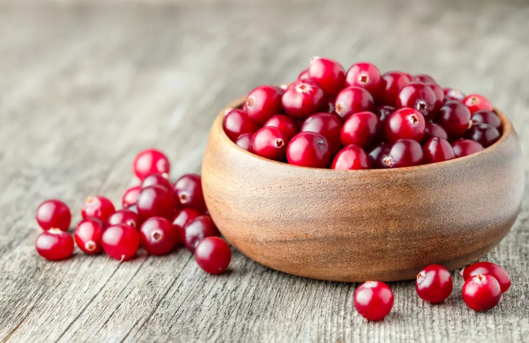 fresh-cranberries-wooden-plate-table Tőzegáfonya: Mi mindenre jó? Immunrendszer 