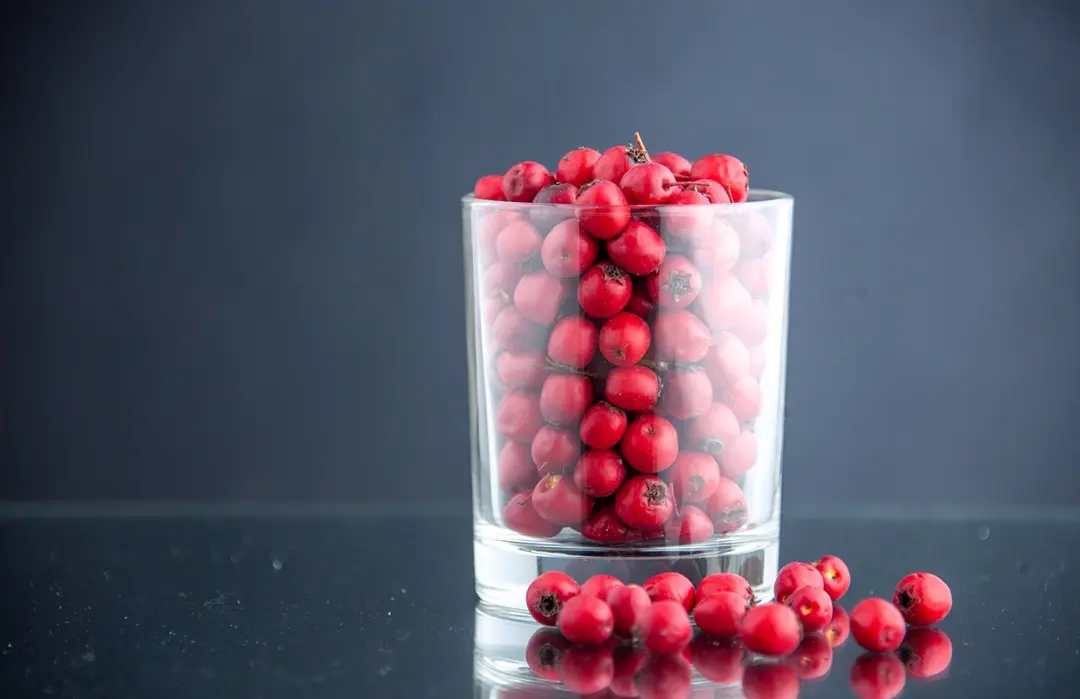 front-view-red-cranberries-inside-glass-dark-background-service-color-drink-tea Tőzegáfonya: Mi mindenre jó? Immunrendszer 