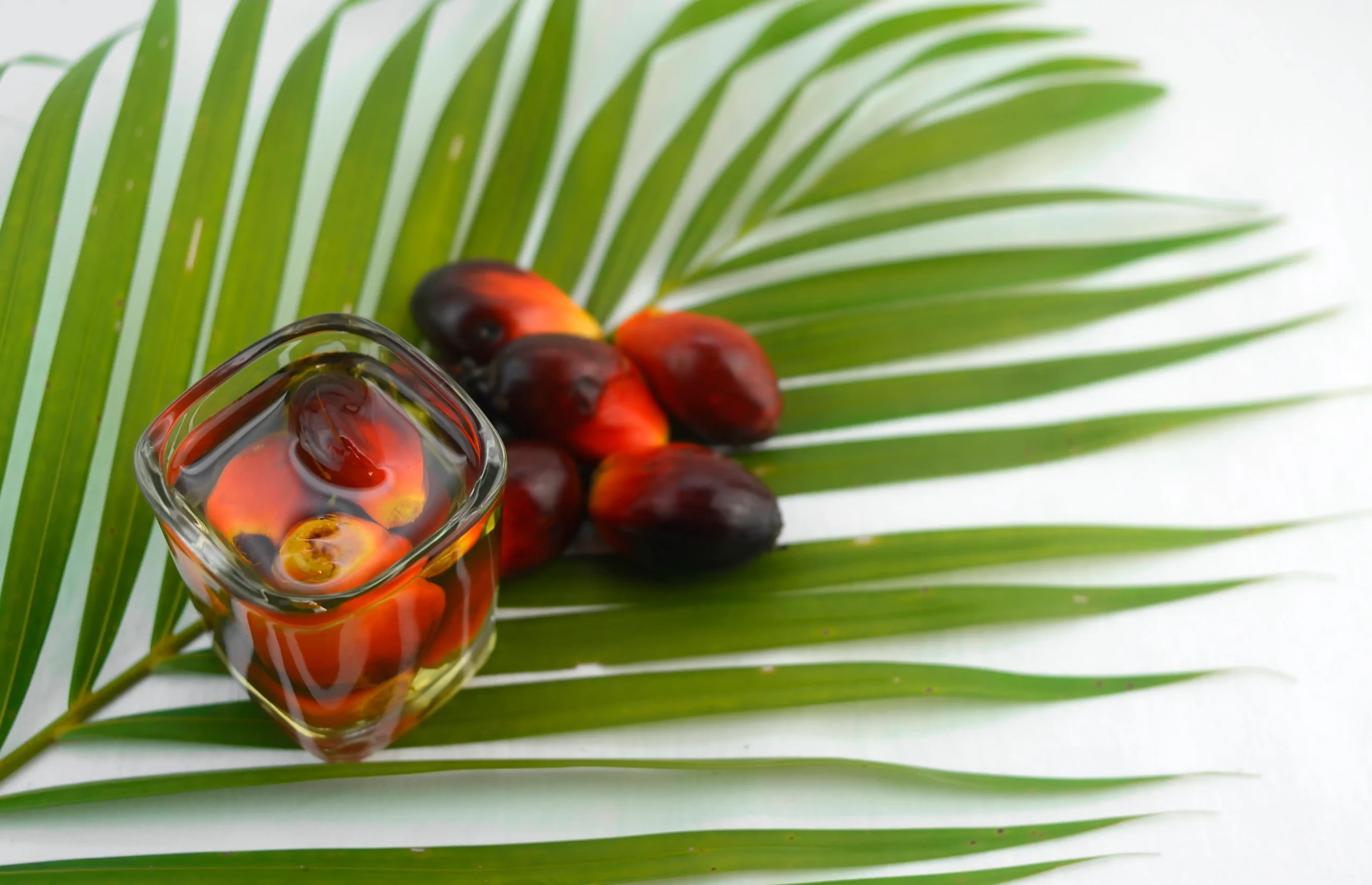 fureszpalma_olaj_segithet-scaled Miért ébredek éjszaka pisilni? Uncategorized 