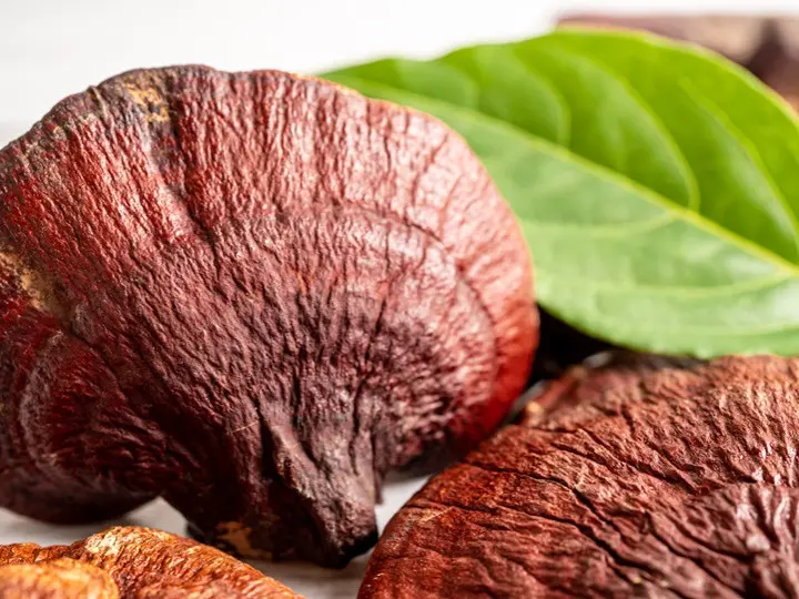 ganoderma-az-egeszsegvedelem A gombák titkai: 8 jótékony hatás az egészségünkért Szupertápanyagok 