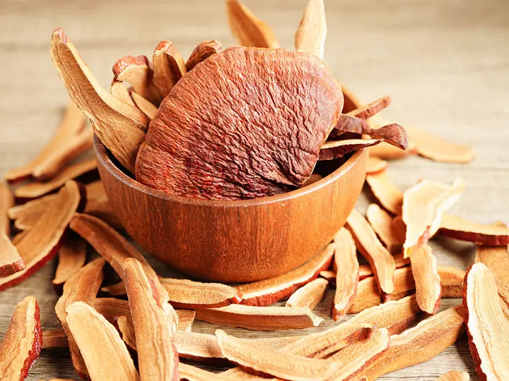 ganoderma-pecsetviaszgomba-hatoanyag A Pecsétviaszgomba jótékony hatásai Szupertápanyagok 